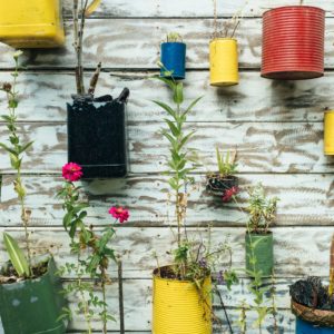 gardening gardening